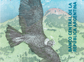 Argentina 50-peso banknote Thumbnail image of the new Argentina 50-peso banknote.